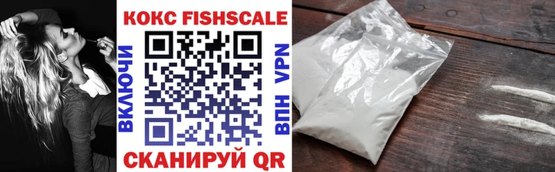 Купить закладки  Кохма  COCAIN FishScale 