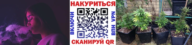 Шишки марихуана конопля  Купить где  Кохма 